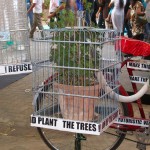 Caged Plant